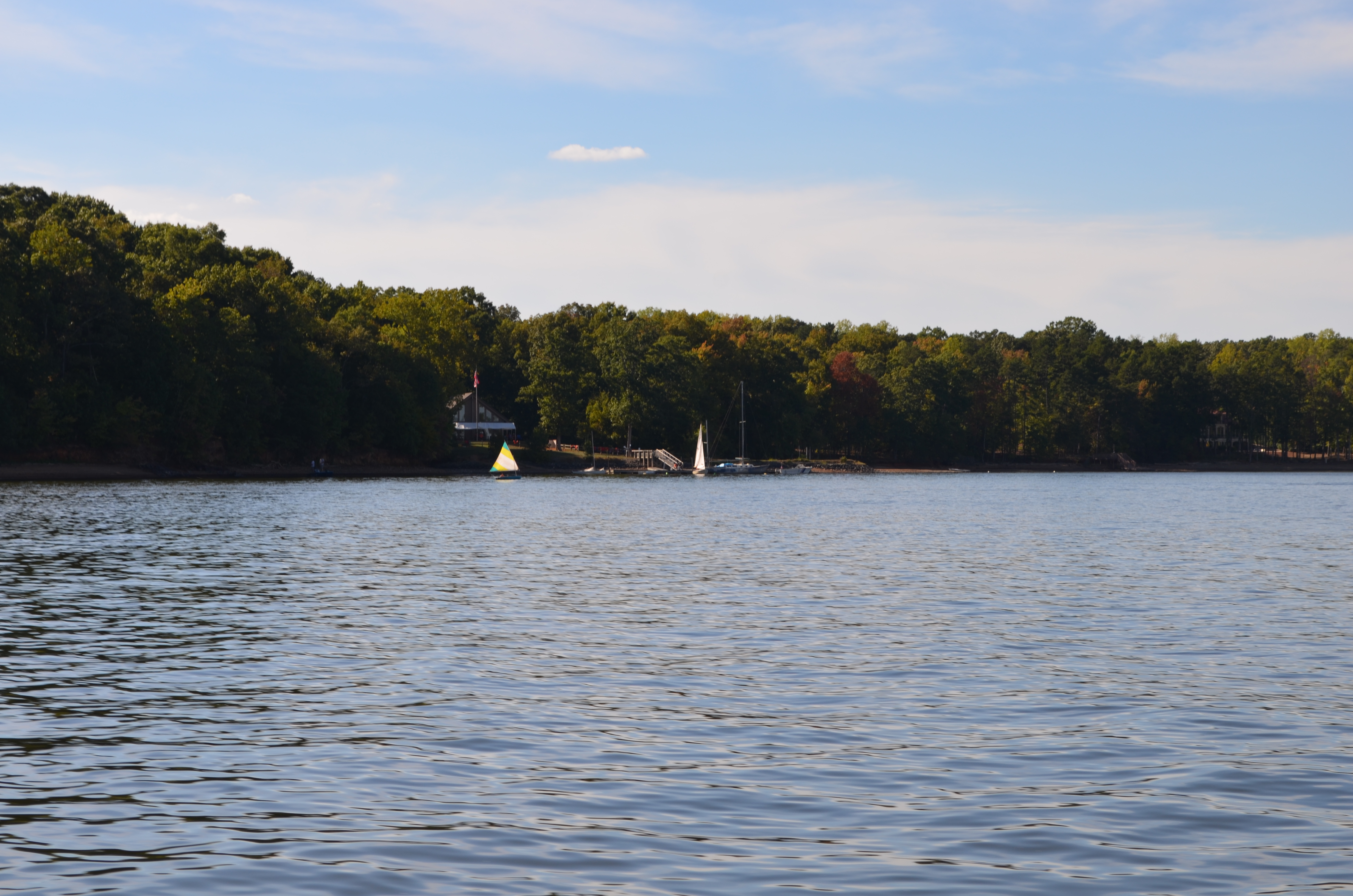 ./2015/23 - Grape Stomp/DSC_0681.JPG